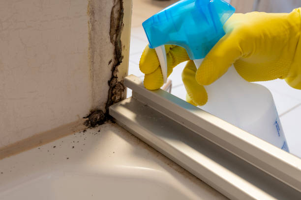 Mold Testing and Removal in Granite, OK