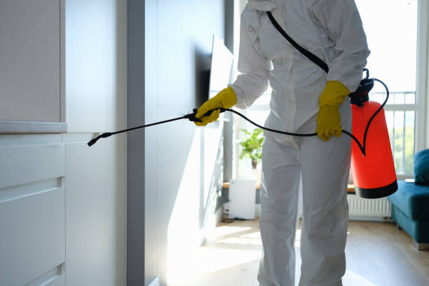 Best Home Mold Removal  in Granite, OK