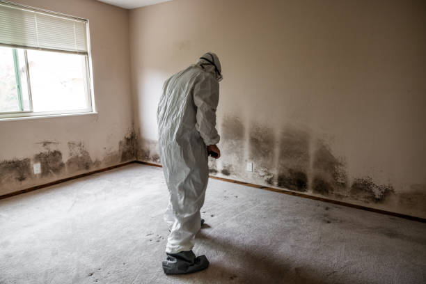Best Professional Mold Removal  in Granite, OK