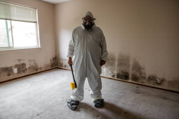 Best Office Mold Removal Services  in Granite, OK